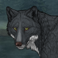 Wolf Headshot