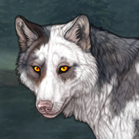ⱽᴬᴿᴳ Wolf's Bite Headshot