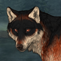 Wolf Headshot