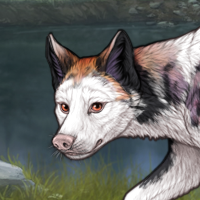 Sapho piebald Headshot