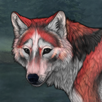 Cardinalis Headshot