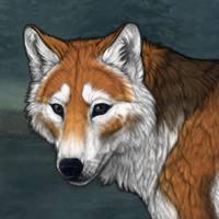Fox'Fur Headshot