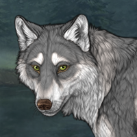 Wolf Headshot