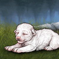 T2 Albino Pup 880 | 2 Headshot