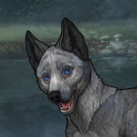 Biolum Blue Eyes Headshot