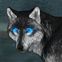 Wolf Headshot
