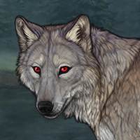 Stone Wolf Headshot