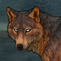 Reddy Headshot