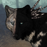 Tempest (New Lead Wolf) Headshot