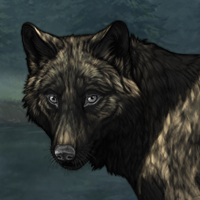 Wolf Headshot