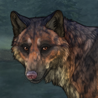 Whoa 9M Fox Headshot