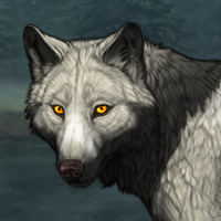 Wolf Headshot