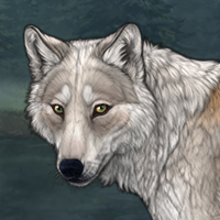 stalker Headshot