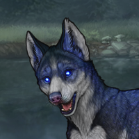 Losna, breed to Moonlight Headshot