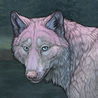 Lavender Winterwolf Headshot