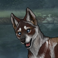 k. g2 obsidian husky Headshot