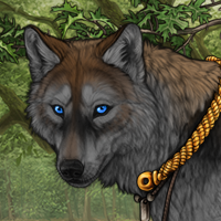 Wolf Headshot