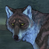 Llyr Headshot