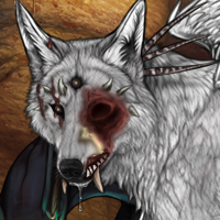 Wolf Headshot