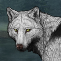 Wolf Headshot