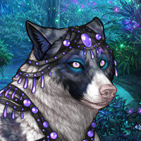 Wolf Headshot