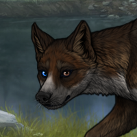 hetocromia runt brown Headshot