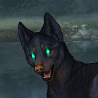 ○M Gray LupCou stalk Headshot