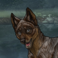 New Puppy Headshot