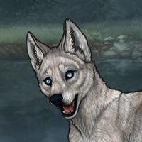 6m5r g2 husky chrome Headshot