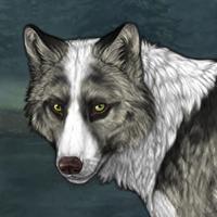 Wolf Headshot