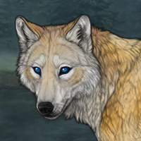 Wolf Headshot