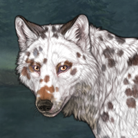 Dalmatian Headshot