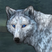 Tundra Headshot