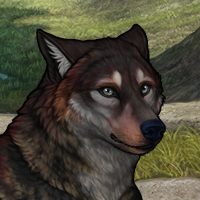 Wolf Headshot
