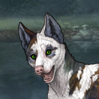 Lykoi (Piebald-Torn) Headshot