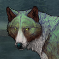 Borealis Headshot