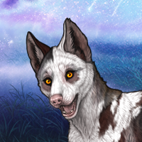 Piebald: Torn Headshot