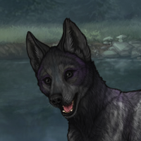 Pewter Male - Sell Headshot