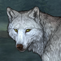 Wolf Headshot