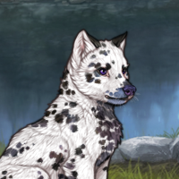 DALMATION! Headshot