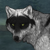 Wolf Headshot