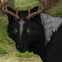 Wolf Headshot
