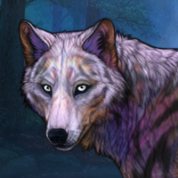 Kalida Headshot