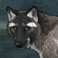 Wolf Headshot