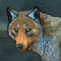 Whisperwisp Headshot