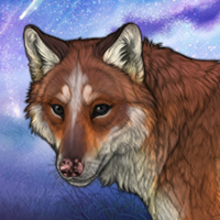 ☆ Felix Headshot