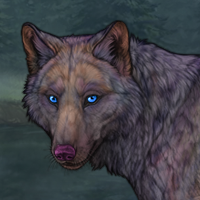 Wolf Headshot
