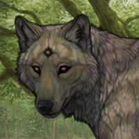 Maple Headshot