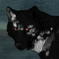 Mottled Obsidian Headshot