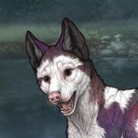 PIEBALD PIEBALD PIEBALD Headshot